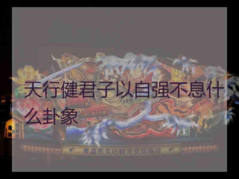 天行健君子以自强不息什么卦象