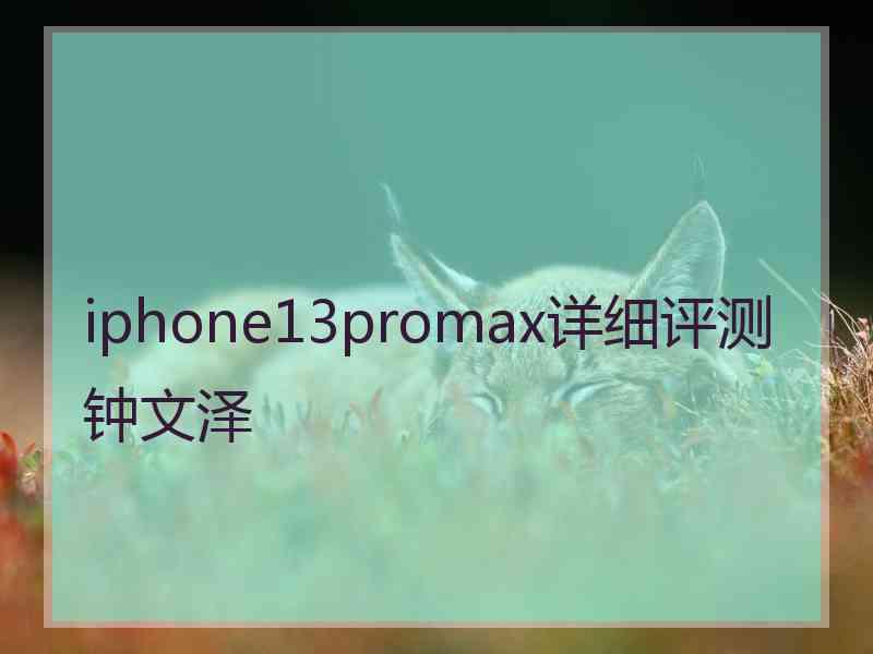 iphone13promax详细评测钟文泽