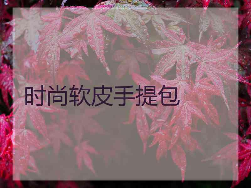 时尚软皮手提包