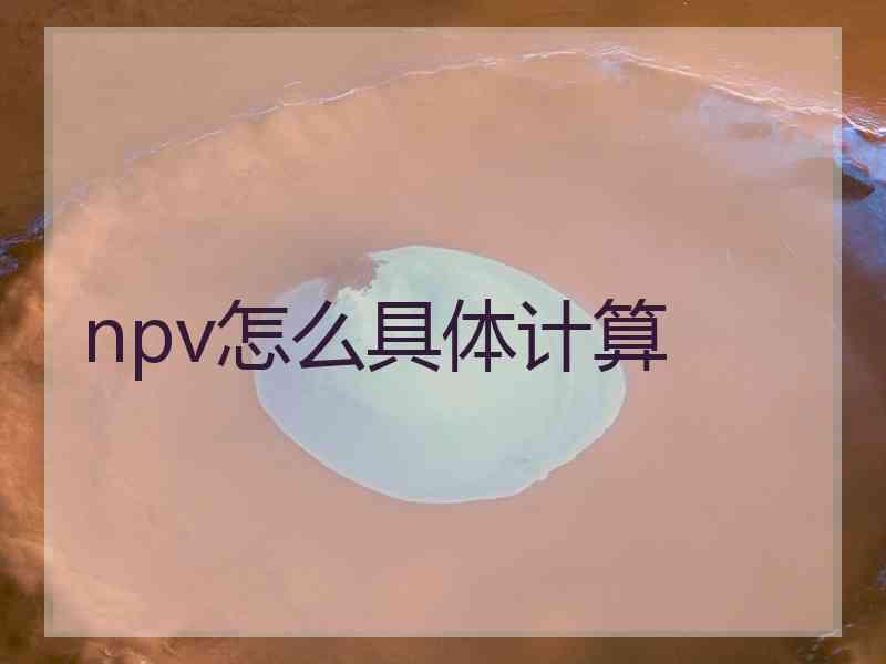 npv怎么具体计算