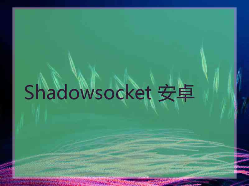 Shadowsocket 安卓