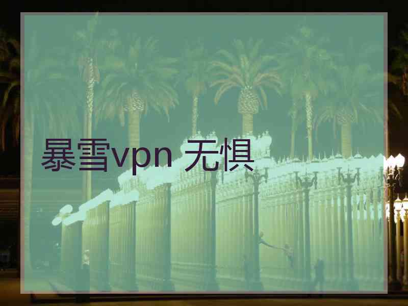 暴雪vpn 无惧