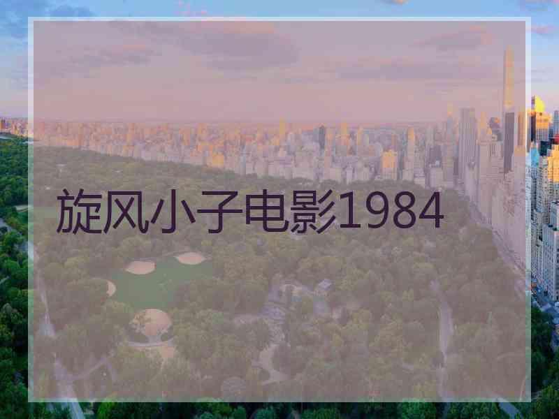 旋风小子电影1984