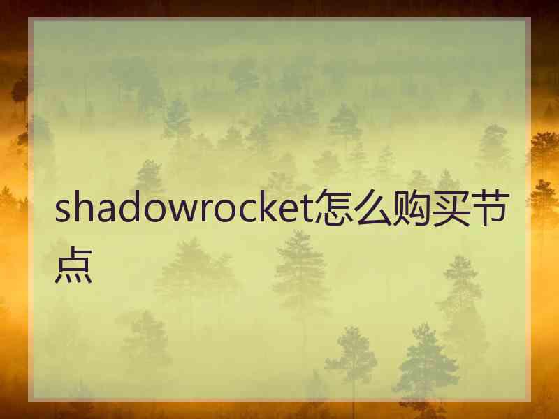 shadowrocket怎么购买节点