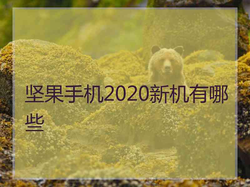 坚果手机2020新机有哪些