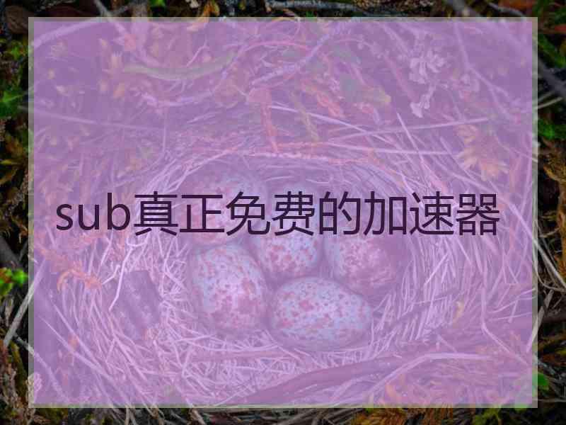 sub真正免费的加速器