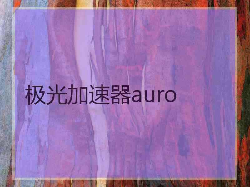 极光加速器auro