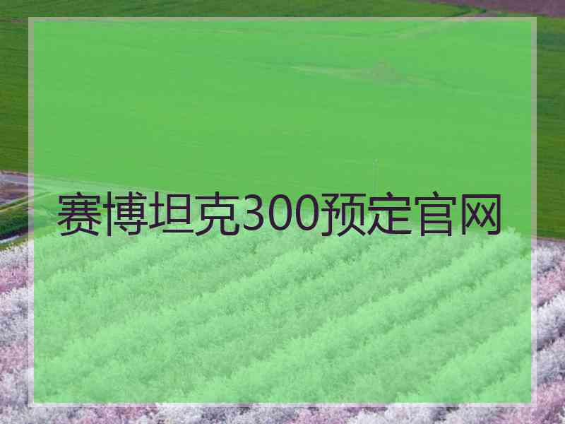 赛博坦克300预定官网