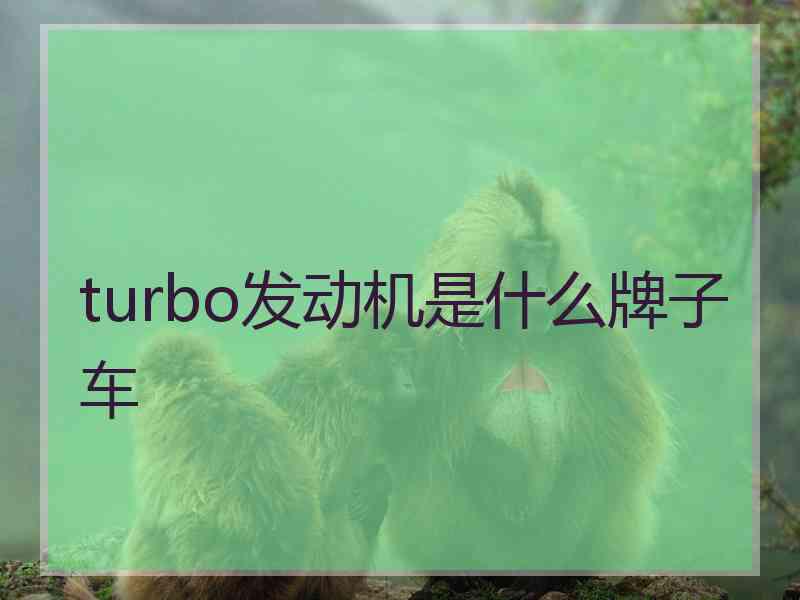 turbo发动机是什么牌子车