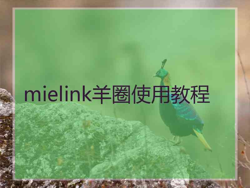 mielink羊圈使用教程