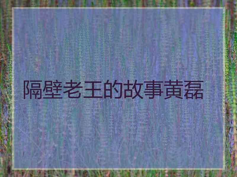 隔壁老王的故事黄磊