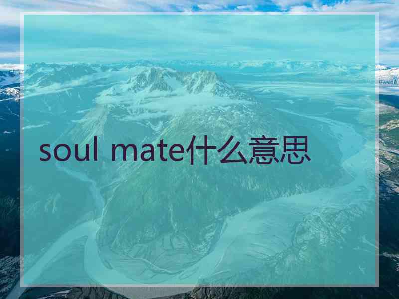 soul mate什么意思