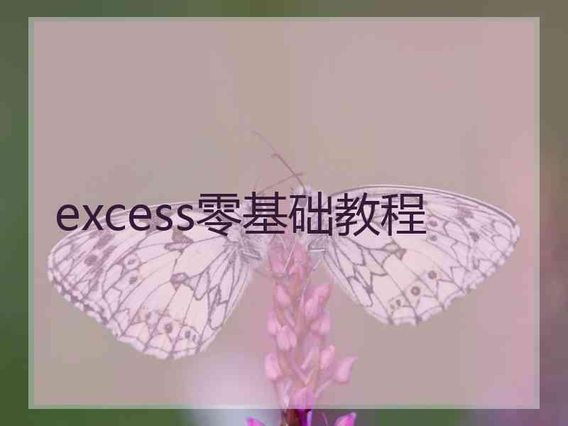 excess零基础教程