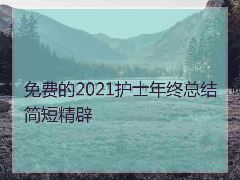 免费的2021护士年终总结简短精辟