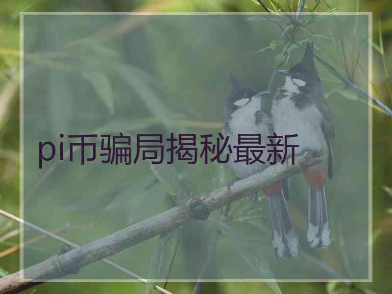 pi币骗局揭秘最新