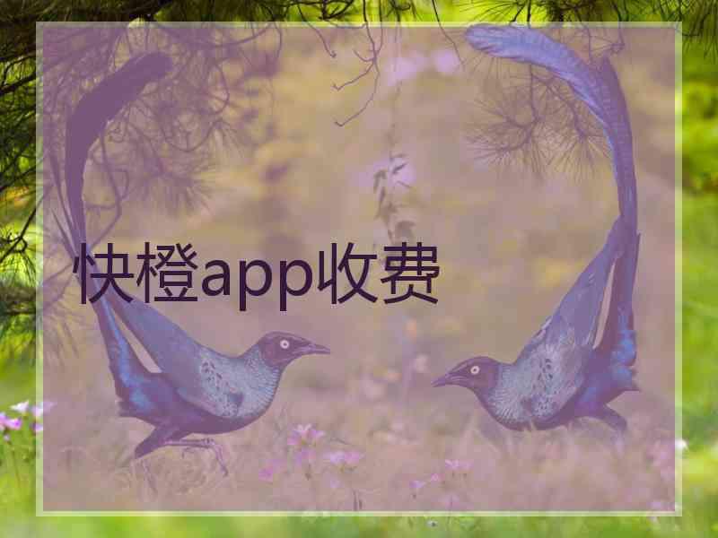 快橙app收费