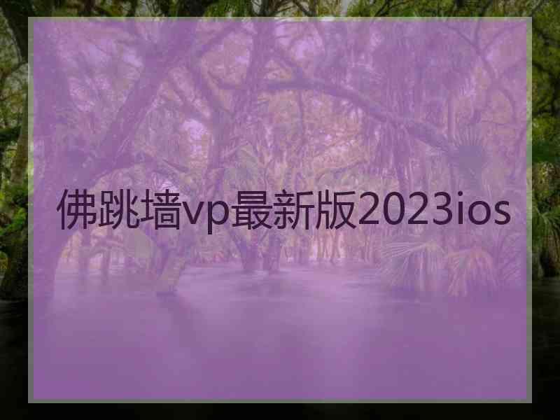 佛跳墙vp最新版2023ios