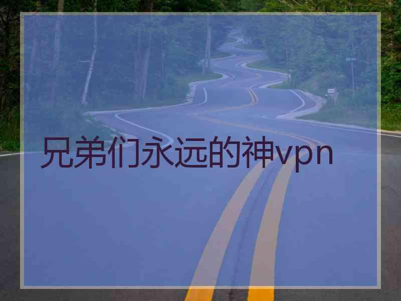 兄弟们永远的神vpn