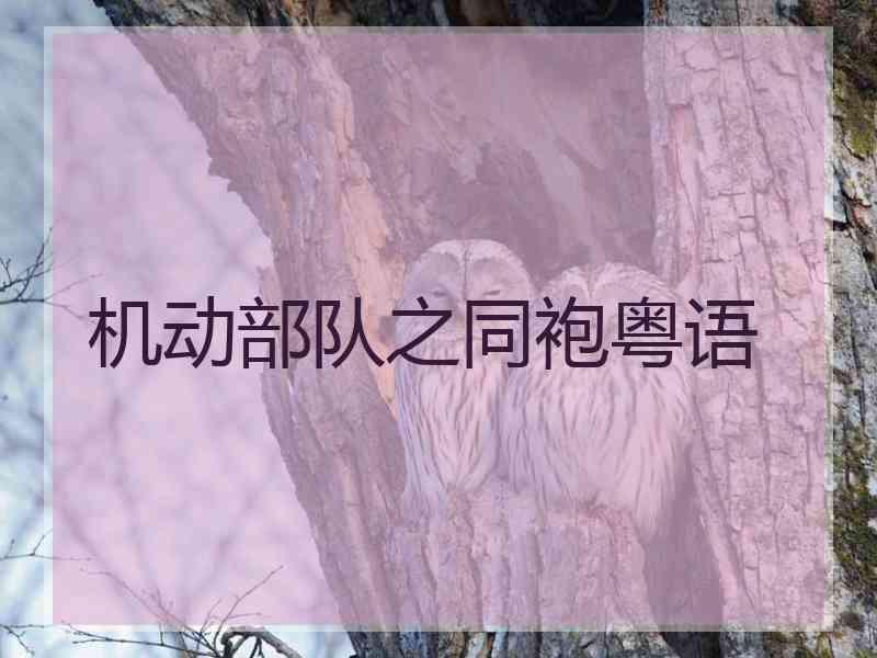 机动部队之同袍粤语