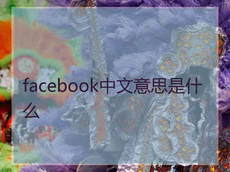 facebook中文意思是什么