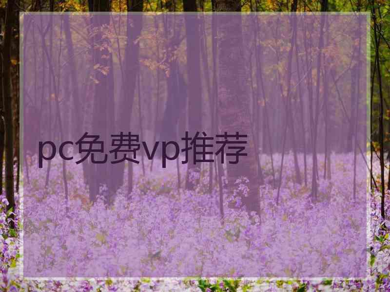 pc免费vp推荐