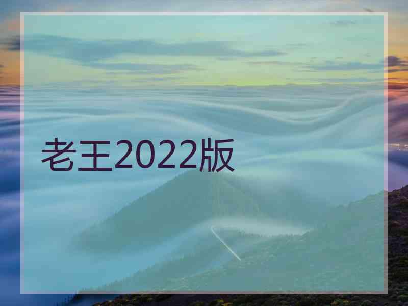 老王2022版