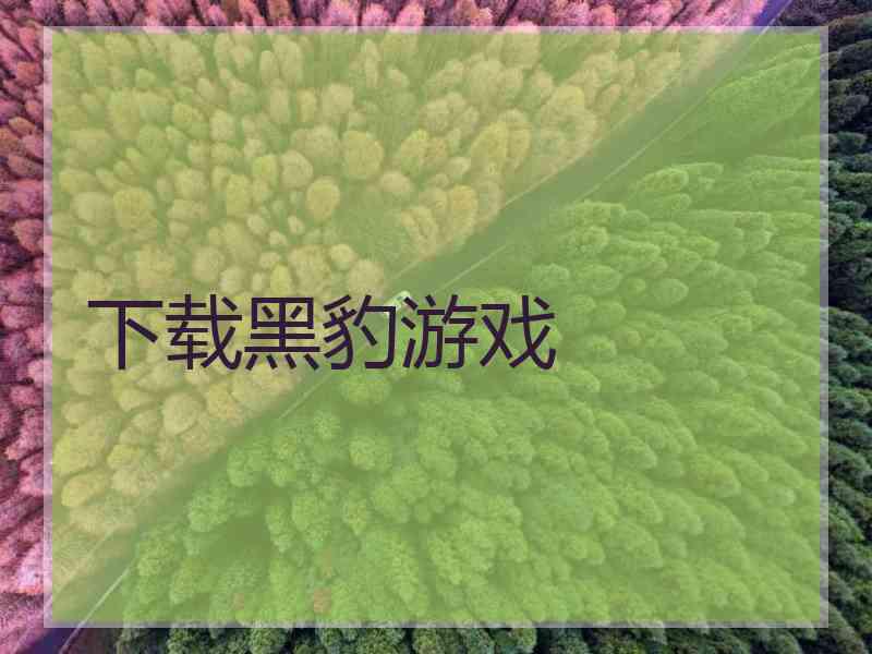 下载黑豹游戏