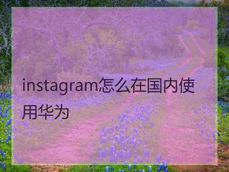 instagram怎么在国内使用华为