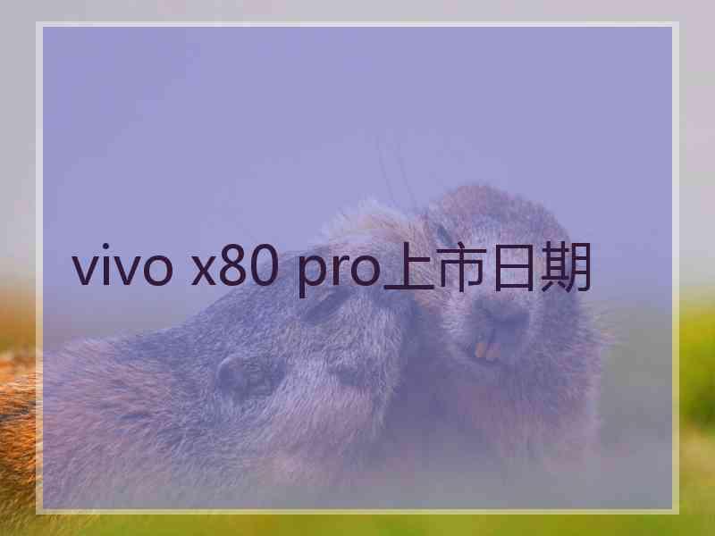 vivo x80 pro上市日期