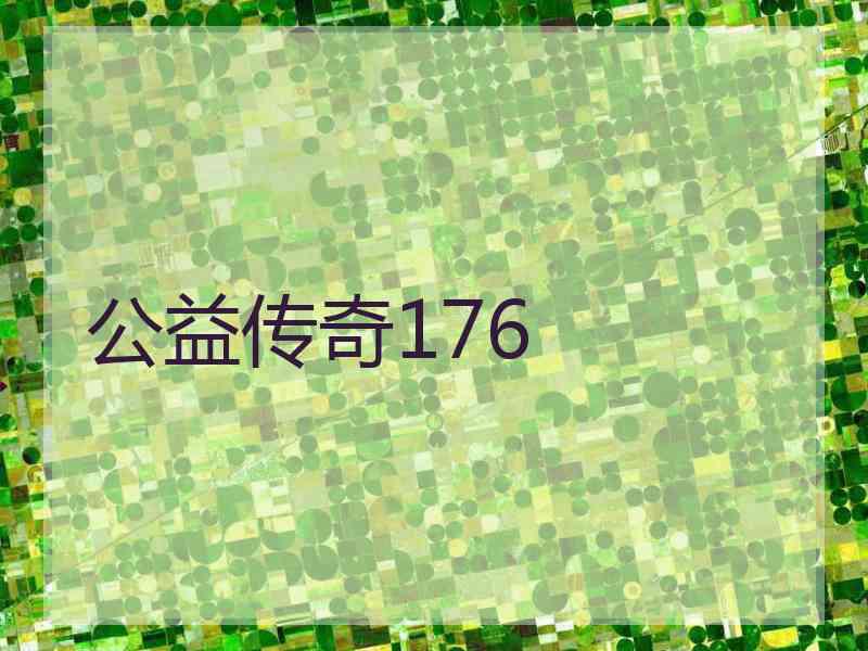 公益传奇176