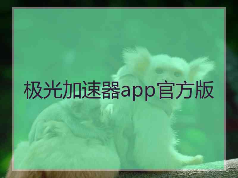 极光加速器app官方版