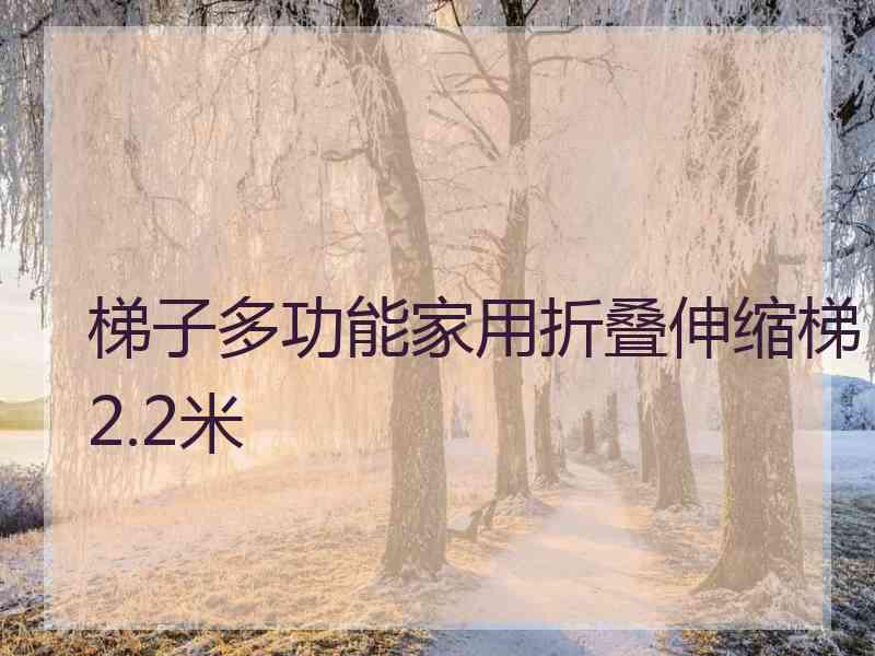 梯子多功能家用折叠伸缩梯2.2米