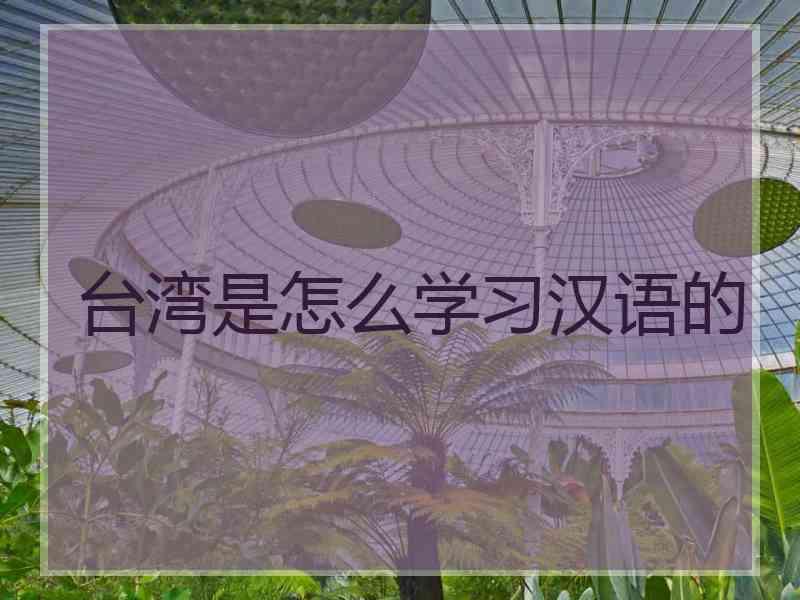 台湾是怎么学习汉语的