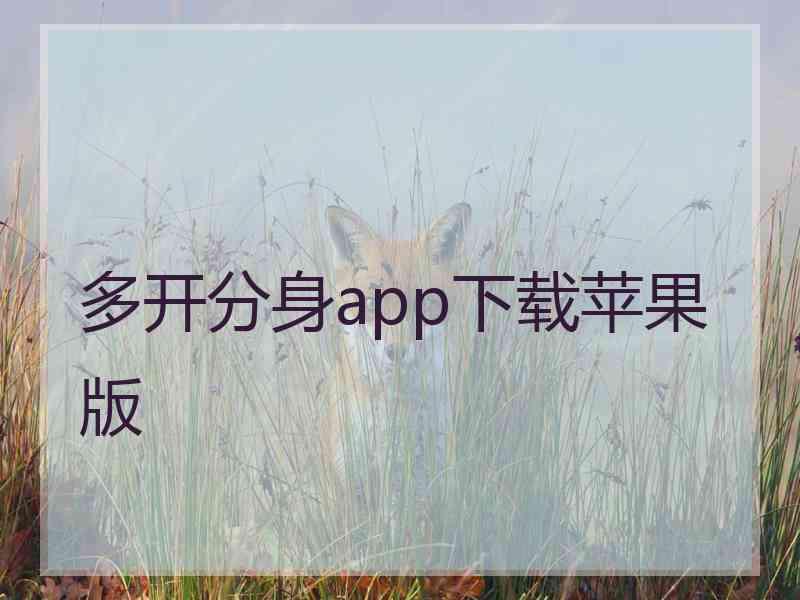 多开分身app下载苹果版