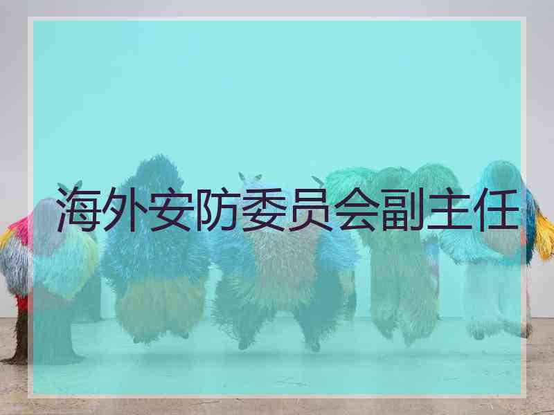 海外安防委员会副主任