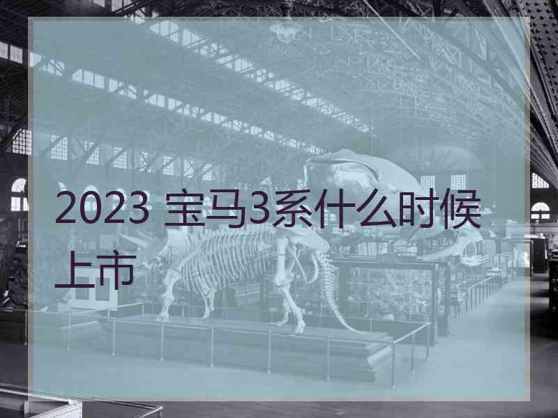 2023 宝马3系什么时候上市