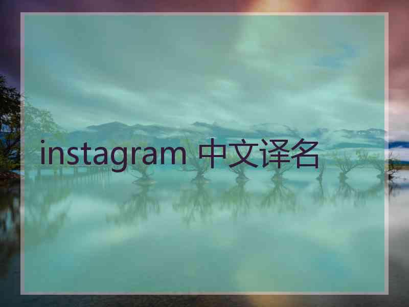 instagram 中文译名