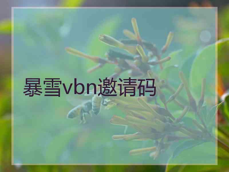 暴雪vbn邀请码