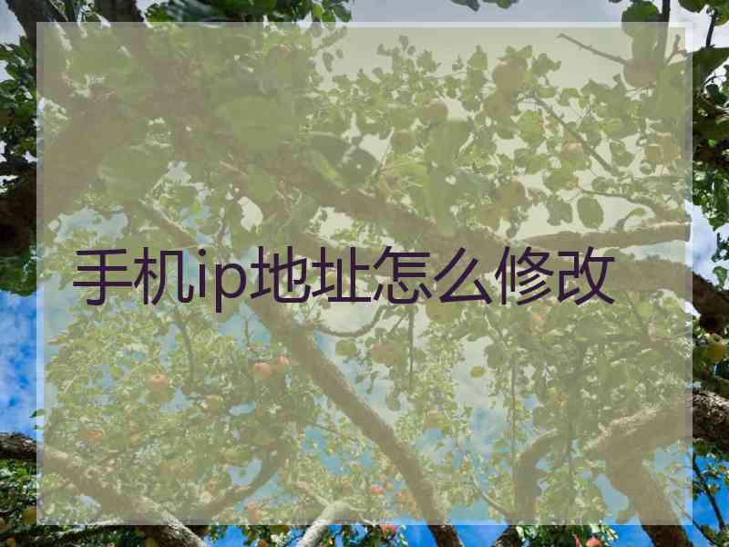 手机ip地址怎么修改