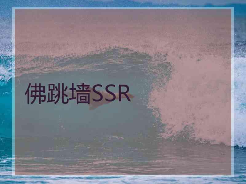 佛跳墙SSR