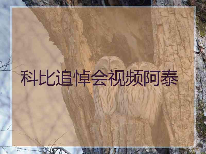 科比追悼会视频阿泰