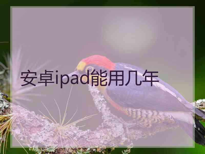 安卓ipad能用几年