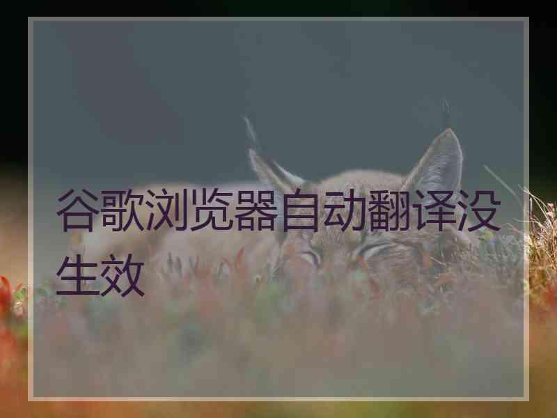 谷歌浏览器自动翻译没生效