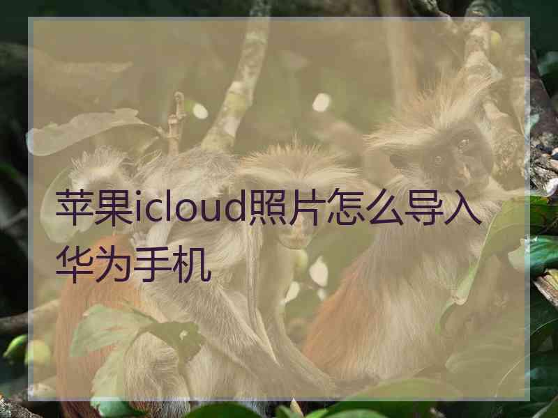 苹果icloud照片怎么导入华为手机