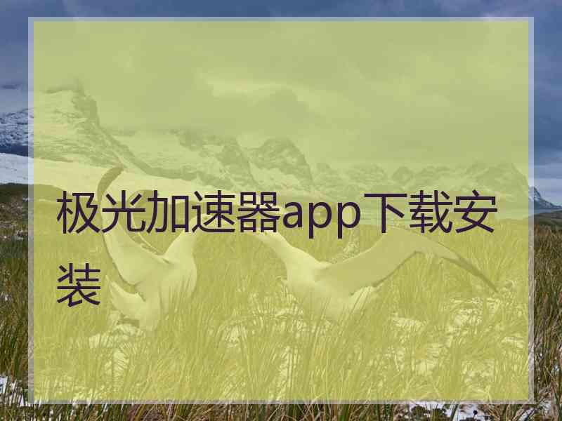 极光加速器app下载安装