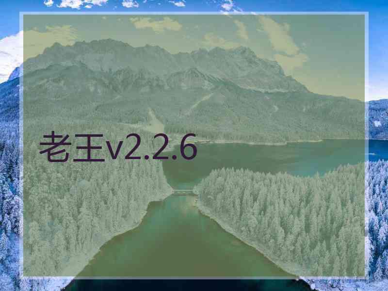 老王v2.2.6