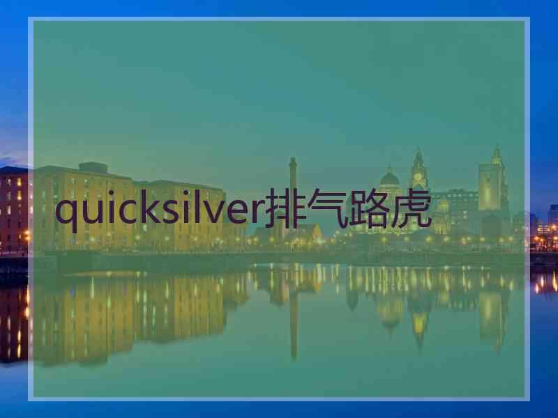 quicksilver排气路虎