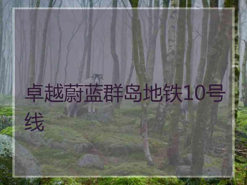 卓越蔚蓝群岛地铁10号线