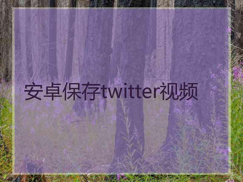 安卓保存twitter视频