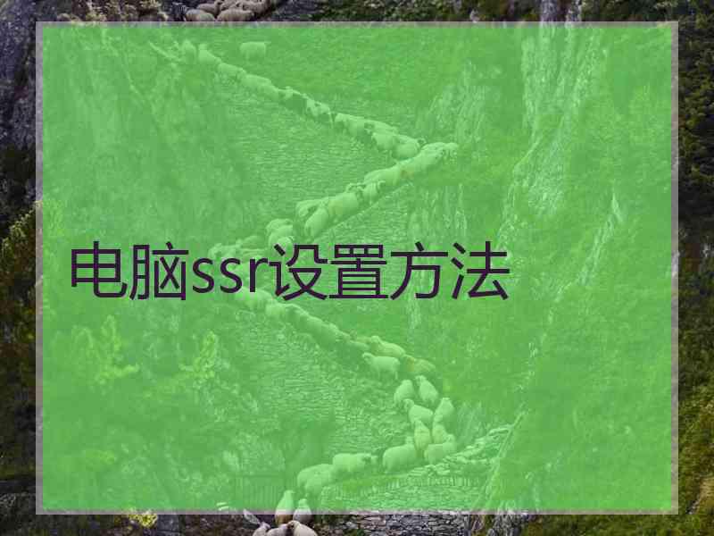 电脑ssr设置方法